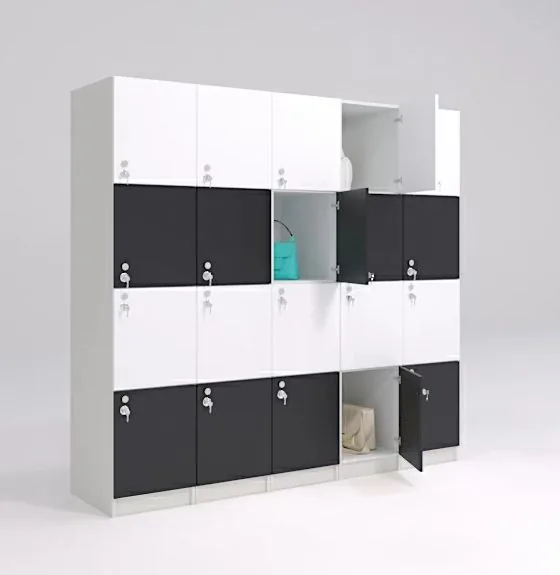 Dulap depozitare D31